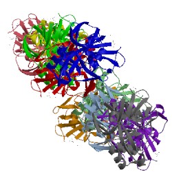 Image of CATH 2pnl
