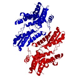 Image of CATH 2po7