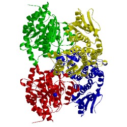 Image of CATH 2poc