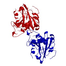 Image of CATH 2pof