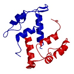 Image of CATH 2pru