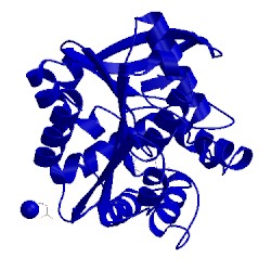 Image of CATH 2puj
