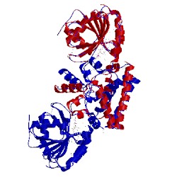 Image of CATH 2pv7