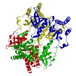 Image of CATH 2pvy
