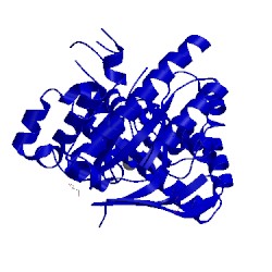 Image of CATH 2pwu