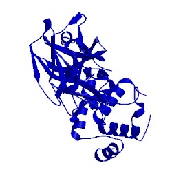 Image of CATH 2pwx