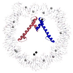 Image of CATH 2pyo