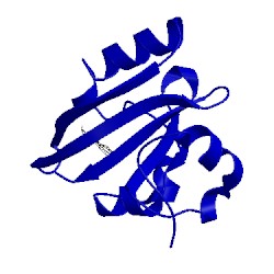 Image of CATH 2pyr