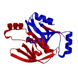Image of CATH 2pzd