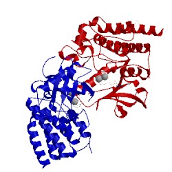 Image of CATH 2pzp