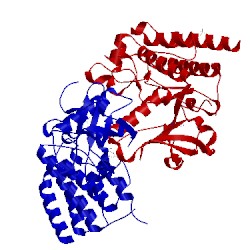 Image of CATH 2pzr