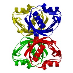 Image of CATH 2pzv