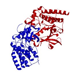 Image of CATH 2q0b
