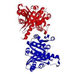 Image of CATH 2q1x