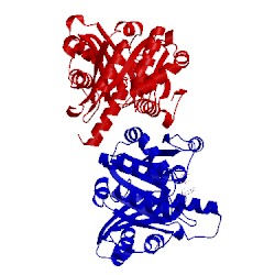 Image of CATH 2q1y