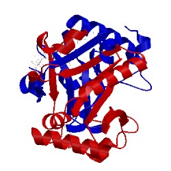 Image of CATH 2q4v