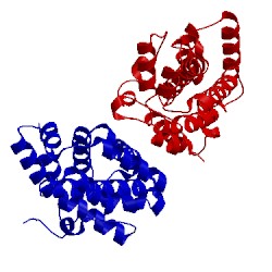 Image of CATH 2q52