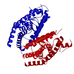 Image of CATH 2q5p