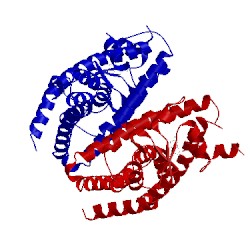 Image of CATH 2q5s