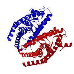 Image of CATH 2q61