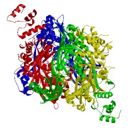 Image of CATH 2q6b