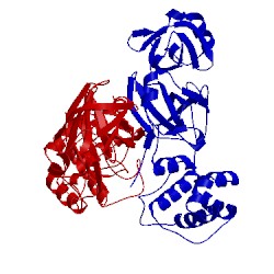 Image of CATH 2q6g