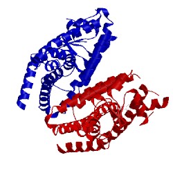 Image of CATH 2q6s