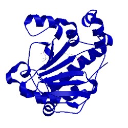 Image of CATH 2q8y