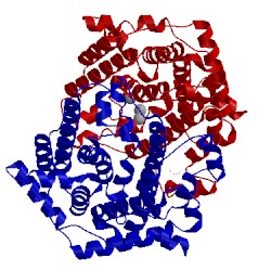 Image of CATH 2q9z
