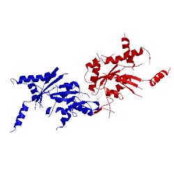 Image of CATH 2qa5