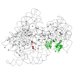Image of CATH 2qbf