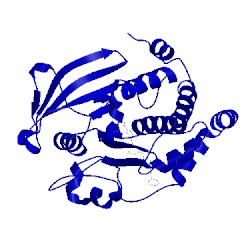 Image of CATH 2qbp