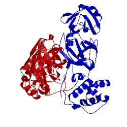 Image of CATH 2qc2