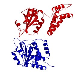 Image of CATH 2qc7