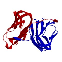 Image of CATH 2qdn