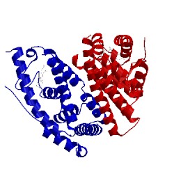 Image of CATH 2qe4