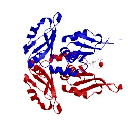 Image of CATH 2qfj