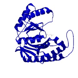 Image of CATH 2qfl