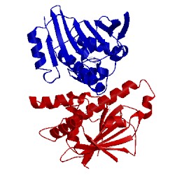 Image of CATH 2qg0