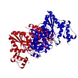 Image of CATH 2qjf