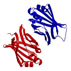 Image of CATH 2qm9