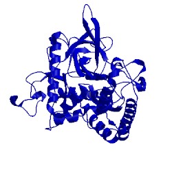 Image of CATH 2qn0