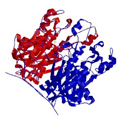 Image of CATH 2qo1