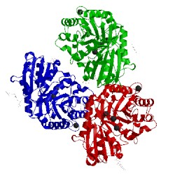 Image of CATH 2qpu