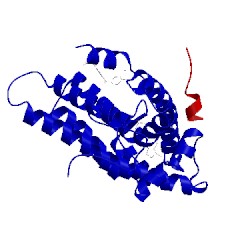 Image of CATH 2qpy