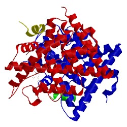 Image of CATH 2qr9