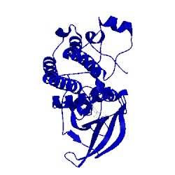 Image of CATH 2qu5