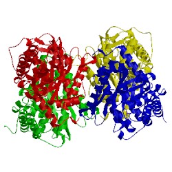 Image of CATH 2quv
