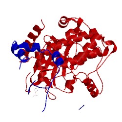 Image of CATH 2qvs