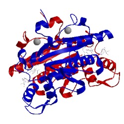 Image of CATH 2qx4